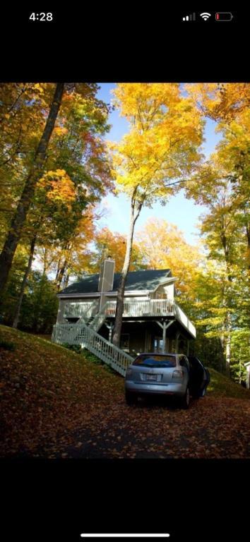 Chalet rénové 3 1/2 à St-Sauveur -disponible le 1er sept | 3012694