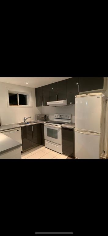 Chalet rénové 3 1/2 à St-Sauveur -disponible le 1er sept | 3012694