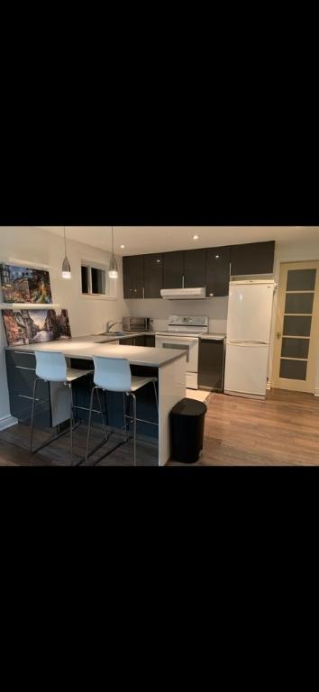 Chalet rénové 3 1/2 à St-Sauveur -disponible le 1er sept | 3012694