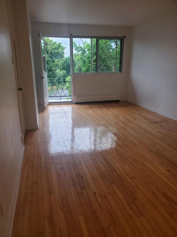 Studio 1 1/2 à louer | 2985442