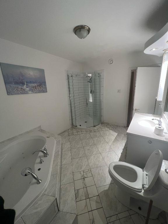Grand 31/2 à louer | 2985834