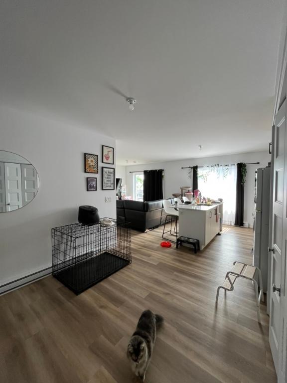 Appartement 4 1/2 DROIT AUX ANIMAUX | 2985835