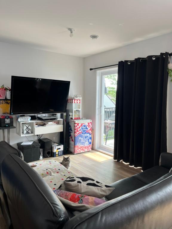 Appartement 4 1/2 DROIT AUX ANIMAUX | 2985835