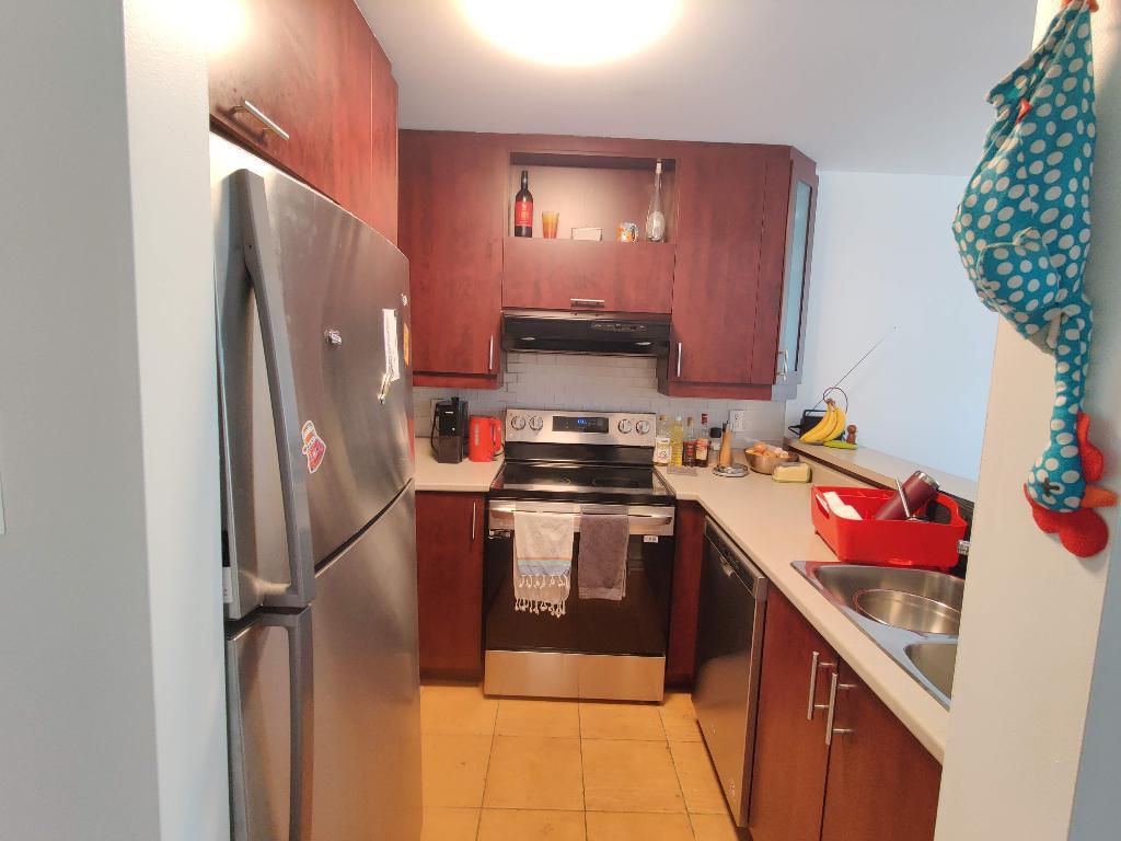 Cession de Bail - 4 1/2 dans Hochelaga | 2986177