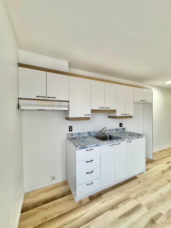Beau 3.5 rénové à louer Granby | 2986476