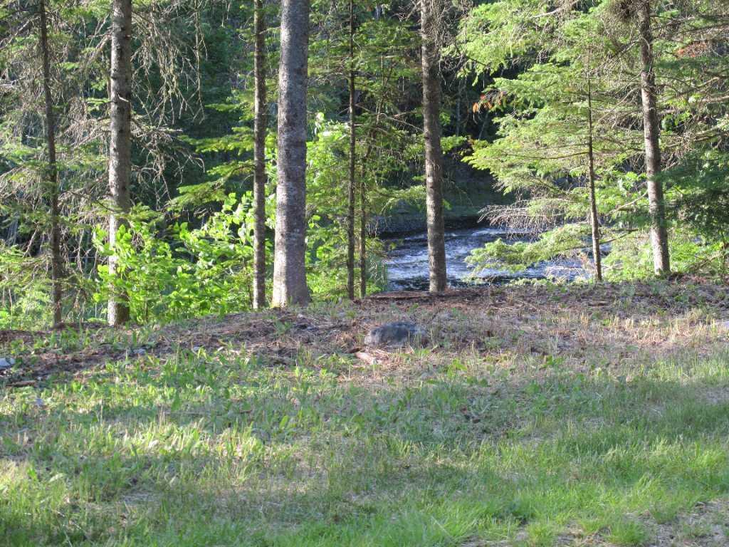 terrain a louer 4 saisons | 2988181
