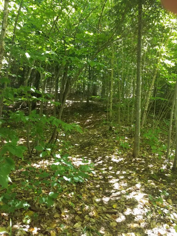 Nid douillet dans les Laurentides – 4 ½ chaleureux au cœur des couleurs d’automne (location temporaire) | 2986492