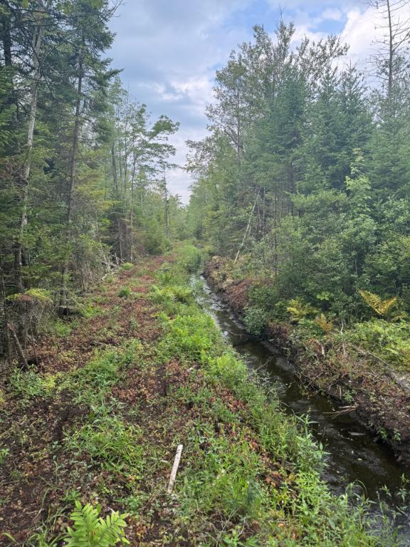 TERRE À BOIS - PRAIRIE À VENDRE - RANG 10 EST WICKHAM 82 ACRES (CAMP DE CHASSE) | 3032848