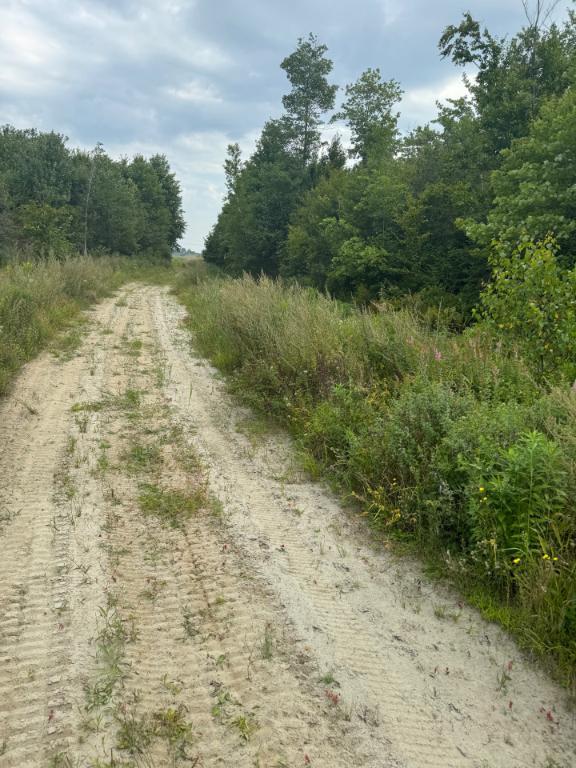 TERRE À BOIS - PRAIRIE À VENDRE - RANG 10 EST WICKHAM 82 ACRES (CAMP DE CHASSE) | 3032848
