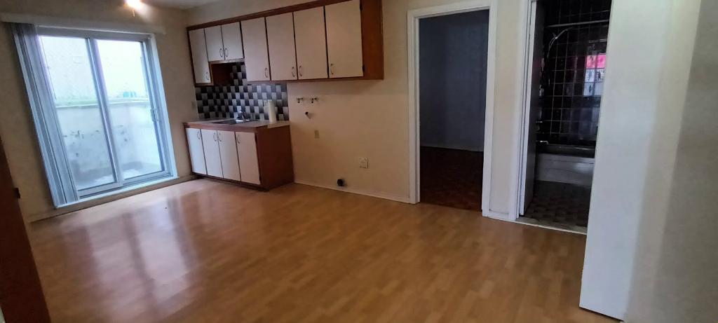 GRAND 3 1/2 AVEC PORTE PATIO DEMI SOUS-SOL LIBRE | 2987217