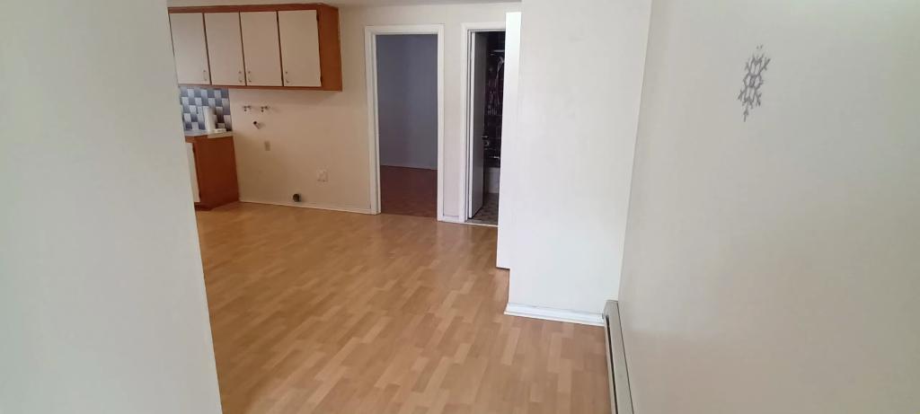 GRAND 3 1/2 AVEC PORTE PATIO DEMI SOUS-SOL LIBRE | 2987217