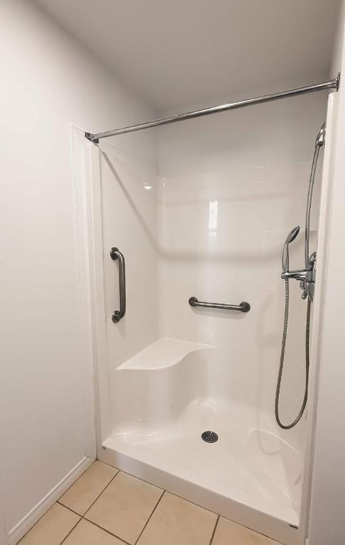 1 CH - 1 SDB - Montréal - $1,245 /mo | 2987626