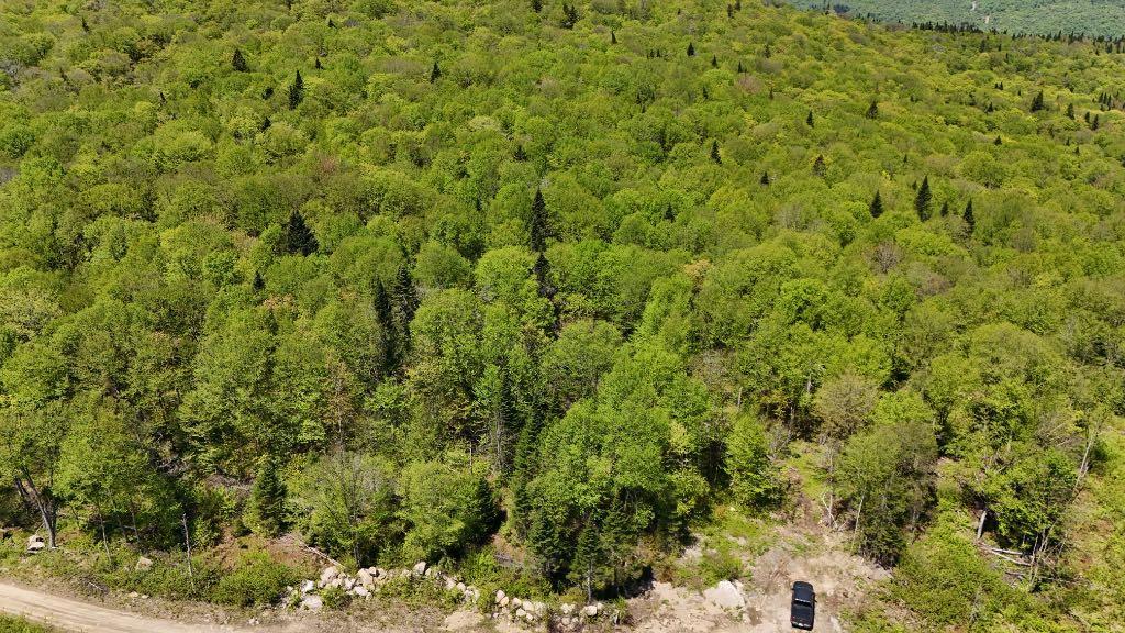terre à bois à vendre | 2988183