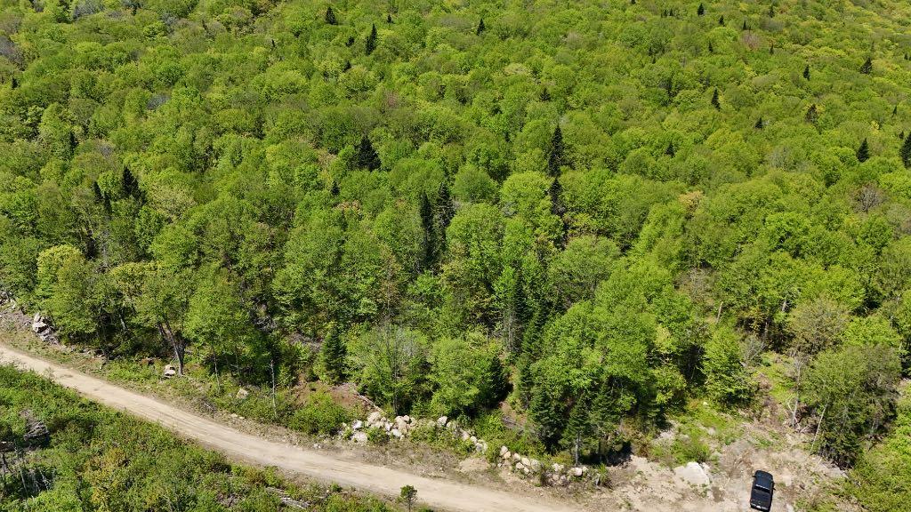 terre à bois à vendre | 2988183