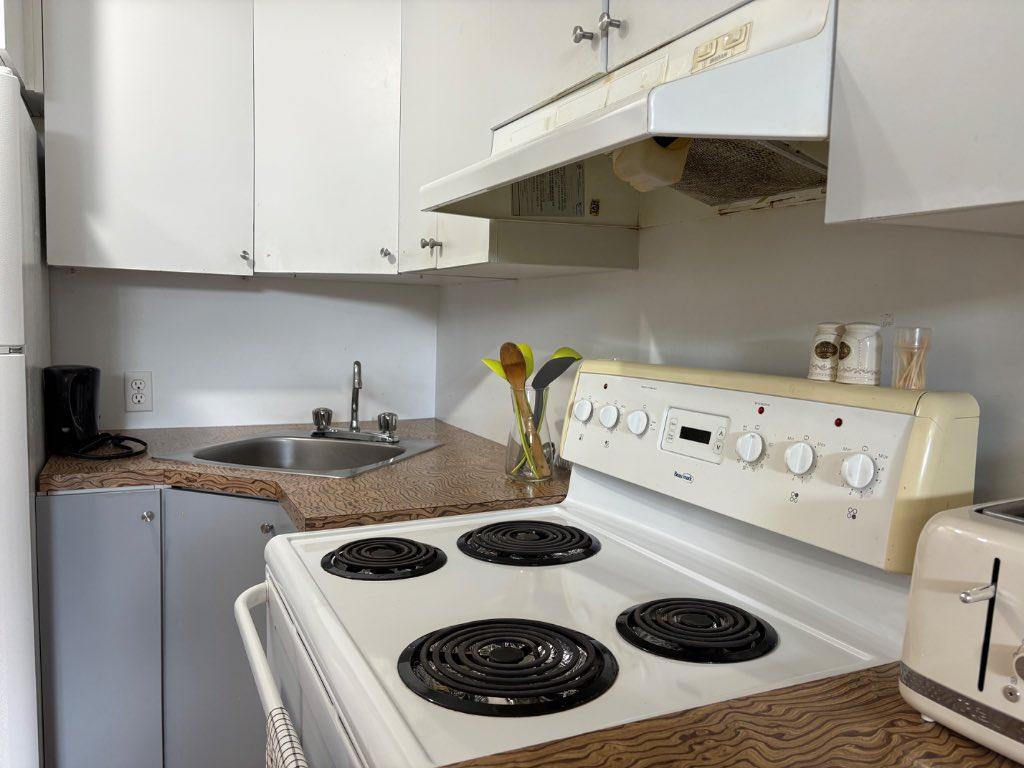Près du cégep joli 3 1/2 | 2989144