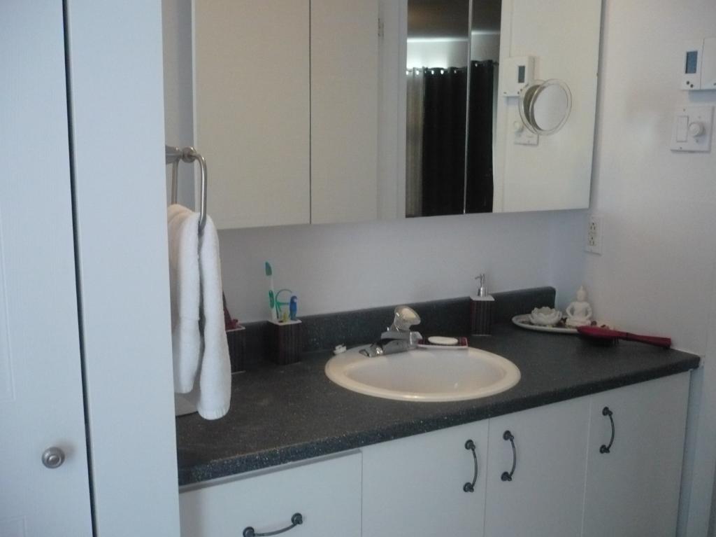 Grand 4½ Rue de Lery style condo Disponible 1 Octobre 2025 | 2989155