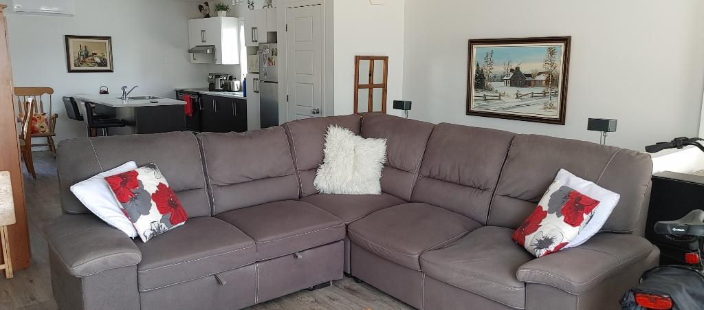 LOGEMENT À LOUER 4 1/2 (1245$ / mois) | 2989157
