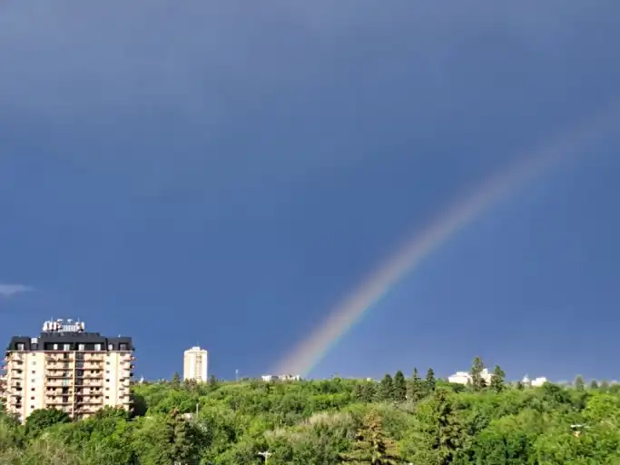 Lovely furnished 1-Bedroom Condo for University Year (Sept to April or May) | 717 Victoria Avenue, Saskatoon | 2989493