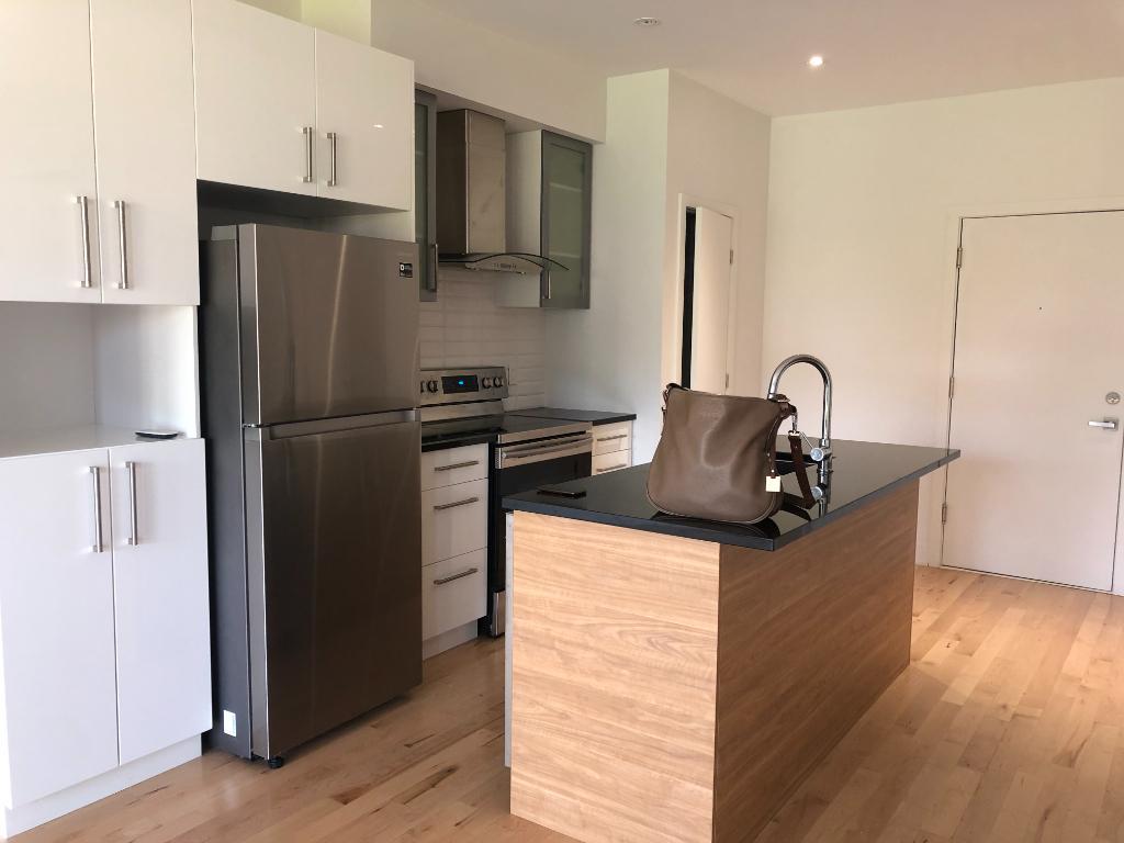 Condo 4 1/2 à louer | 2989537
