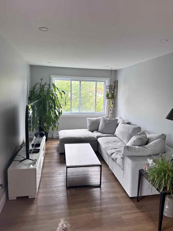MAGNIFIQUE 5 1/2 MODERNE DISPONIBLE 1er SEPTEMBRE | 2991390