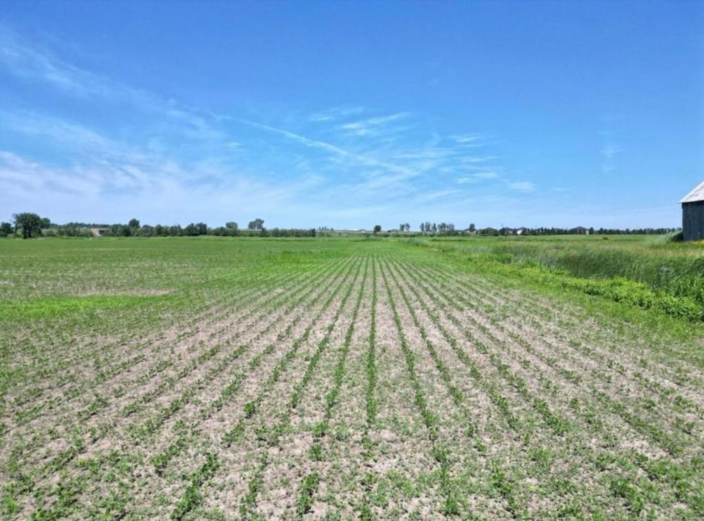 Terre Drummondville | 3012697