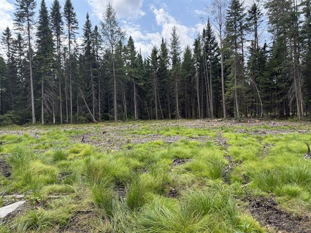 Grand Lac St-François, Lambton en Estrie. Superbe terrain vacant bâtissable de 47 094 pi.ca. avec accès et droit de quai. | 2992317