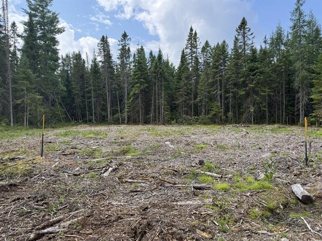 Grand Lac St-François, Lambton en Estrie. Superbe terrain vacant bâtissable de 52 890 pi.ca. avec accès et droit de quai. | 2992318