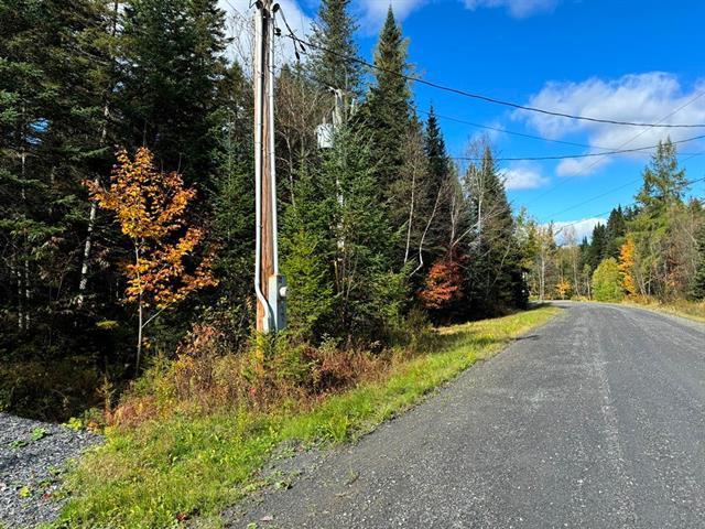 Grand Lac St-François, Lambton en Estrie. Superbe terrain vacant bâtissable de 52 890 pi.ca. avec accès et droit de quai. | 2992318