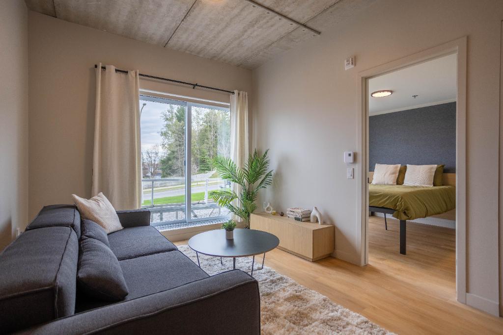 3 1/2 APPARTEMENT MEUBLÉ À LOUER | 2992873