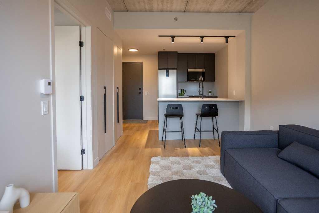 3 1/2 APPARTEMENT MEUBLÉ À LOUER | 2992873
