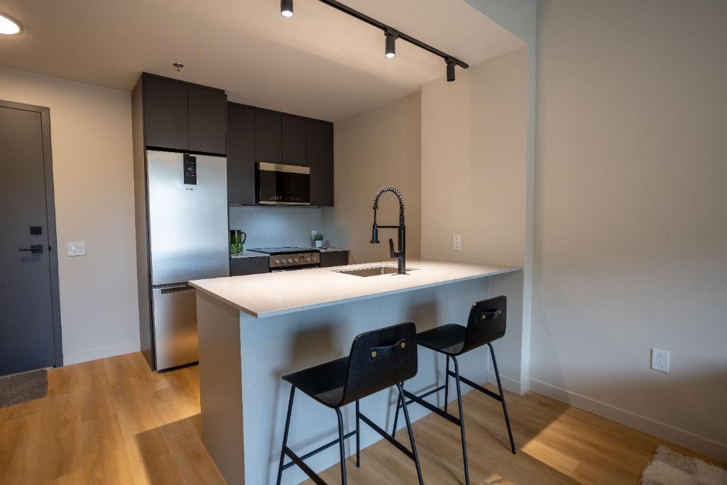 3 1/2 APPARTEMENT MEUBLÉ À LOUER | 2992873