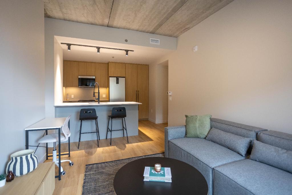 4 1/2 APPARTEMENT MEUBLÉ À LOUER | 2992893