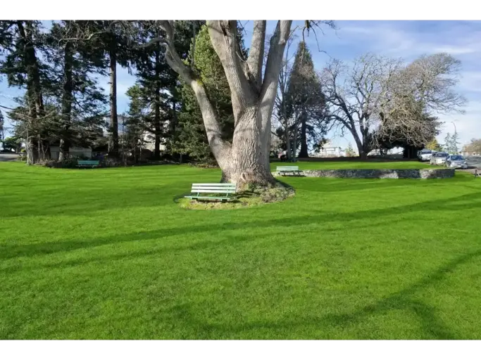 707 Esquimalt Rd | 707 Esquimalt Rd, Victoria | 2993064