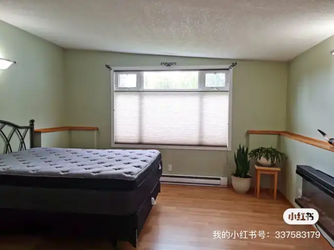 Cozy new renovated one bedroom on main floor with sunroom in Willow Park. | 351 Weddenburn Road Southeast, Calgary | 3014256