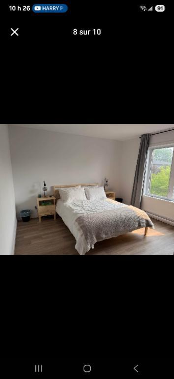 Appartement de 2 chambres et 1 salle de bain | 2994833