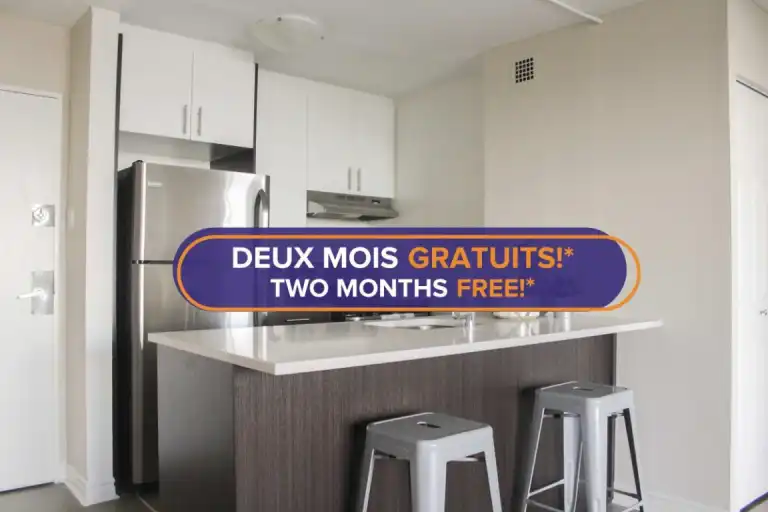 1101 Rachel | 1101 Rue Rachel Est, Montreal | 2994873