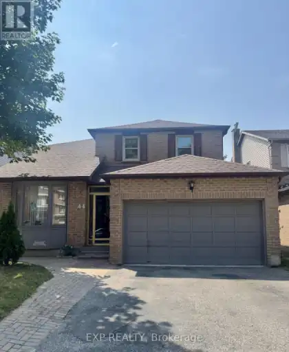 BASEMENT - 44 WRIGHT CRESCENT | BASEMENT - 44 WRIGHT CRESCENT, Ajax | 3017162
