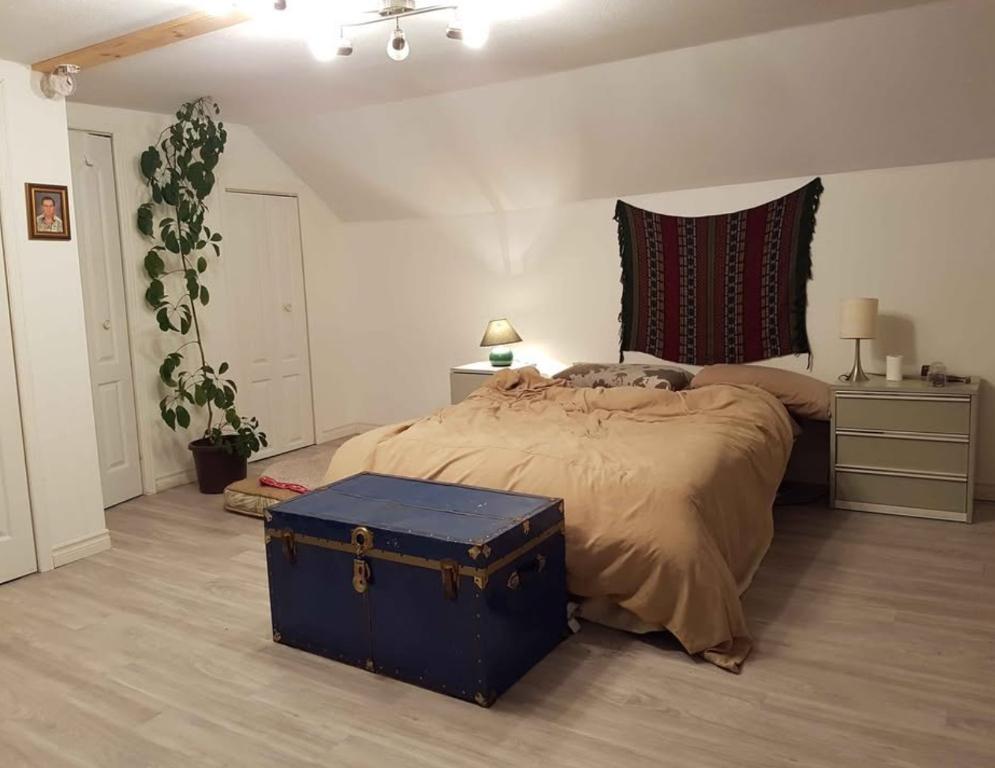 Disponible immédiatement : Magnifique grand logement 3 ½ sur 2 étages | 3018346
