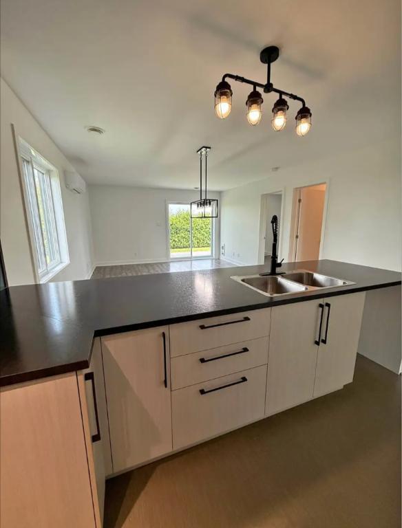 Condo, appartement, logement louer Saint-Césaire /septembre gratuit | 2996493