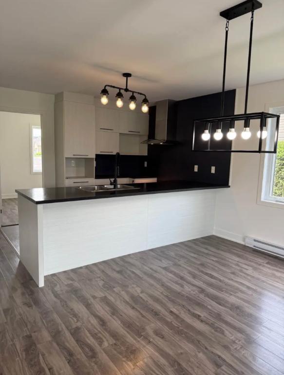 Condo, appartement, logement louer Saint-Césaire /septembre gratuit | 2996493