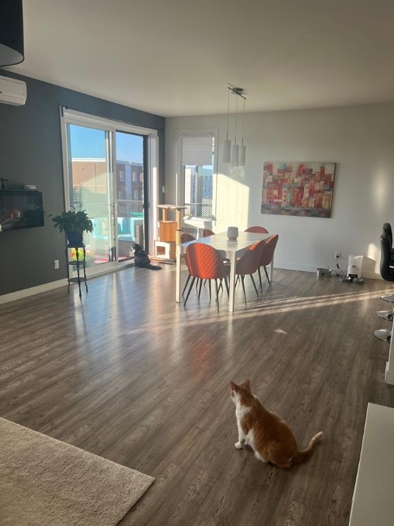 Prise de possession flexible, Bail à céder, à Beauport, superbe très grand 4 1/2, vue partielle fleuve | 3036859