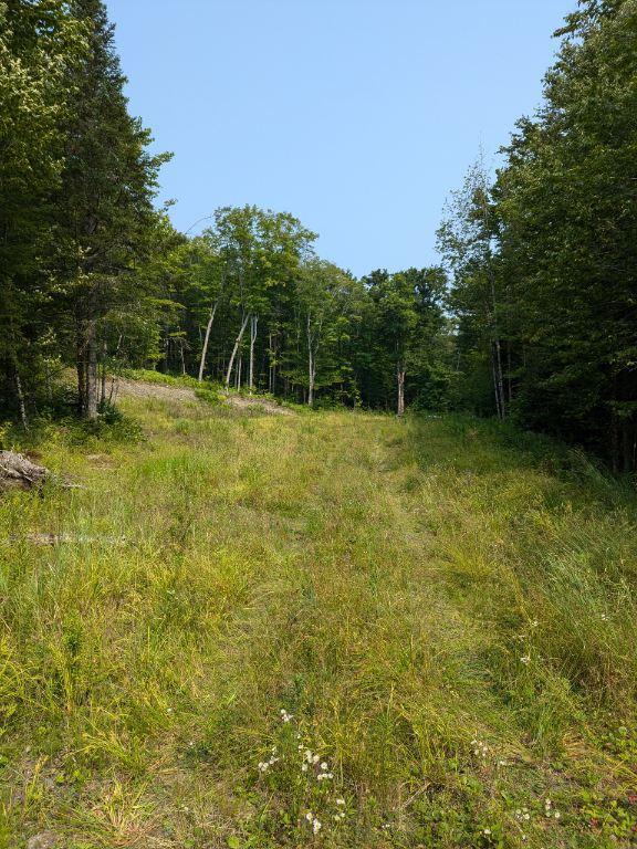 Terrain boisé avec chute d’eau – 185 265 pi² construisible en Estrie, idéal chalet ou AirBNB | 2996697