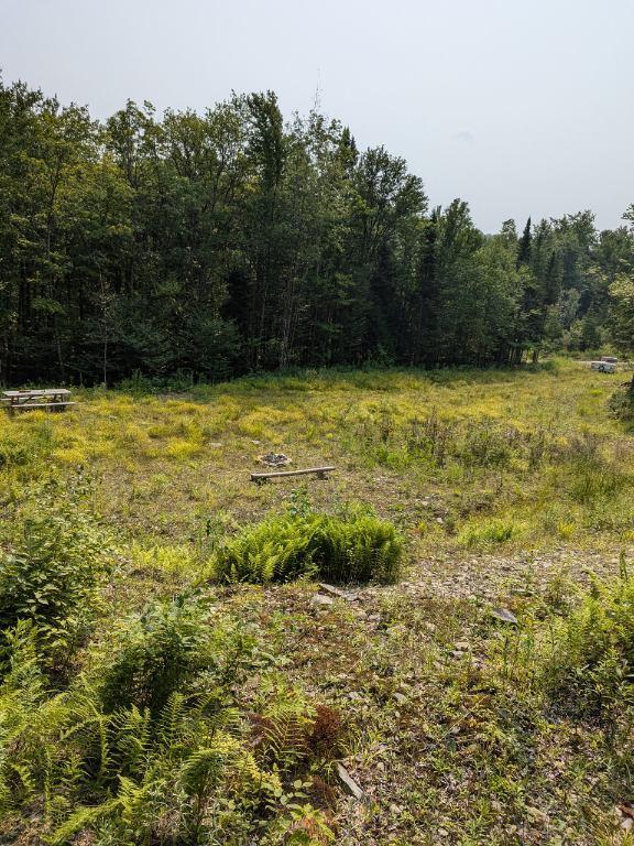 Terrain boisé avec chute d’eau – 185 265 pi² construisible en Estrie, idéal chalet ou AirBNB | 2996697