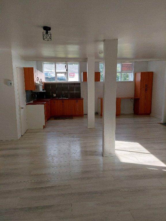 Grand 5 et demi à louer à 825$/mois dans le village de Manseau | 2997985