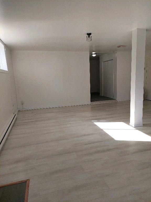 Grand 5 et demi à louer à 825$/mois dans le village de Manseau | 2997985