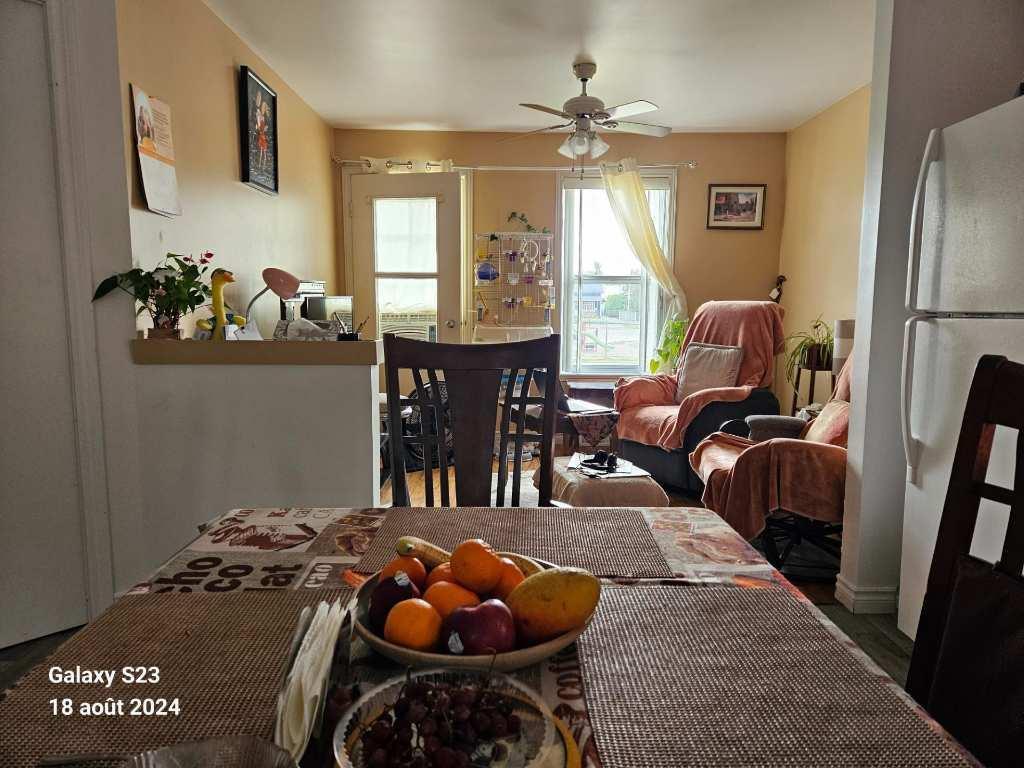 Thetford Mines À louer 1 er Novembre 4 1/2 avec superbe belle grande cour intime | 2998000