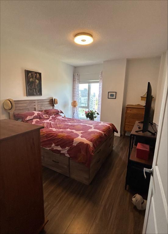Spacieux 3 1/2 | 2998685