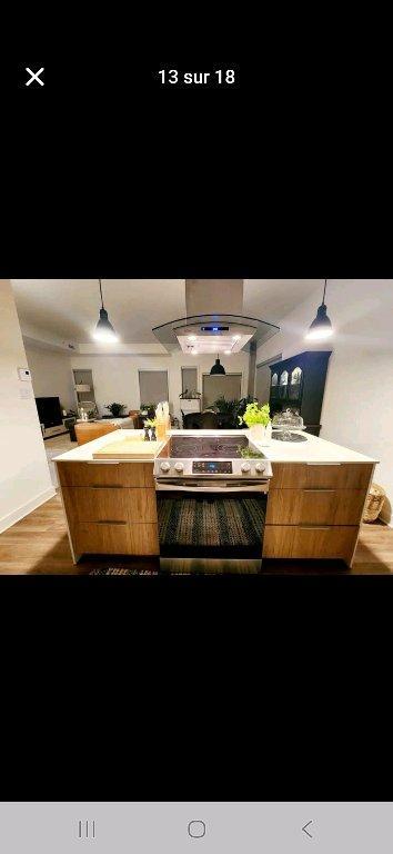 grand 5 1/2 tout inclus condo locatif | 2998965