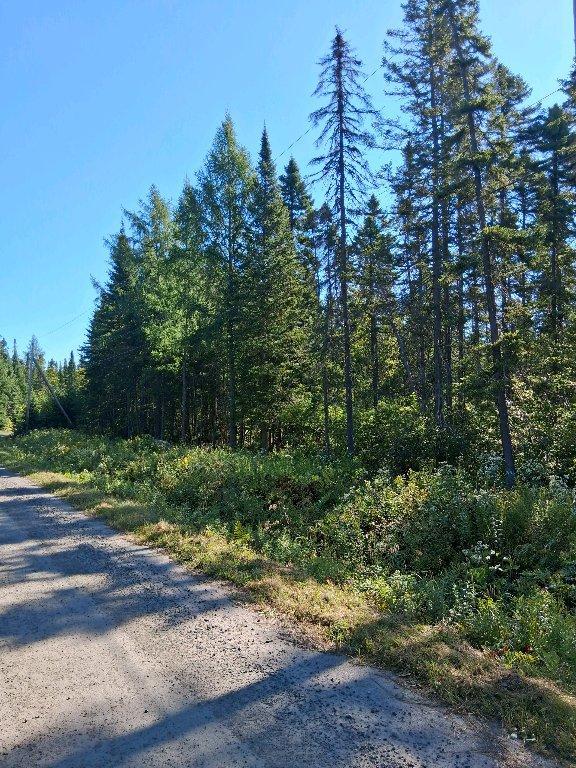 Terrain bord de rivière en Estrie | 2998972