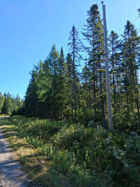 Terrain bord de rivière en Estrie | 2998972